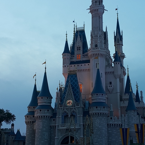 Discounts on Magic Kingdom